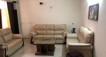2.5 BHK Apartment For Rent in APS Tricity Homes Peer Mucchalla Zirakpur 6660562