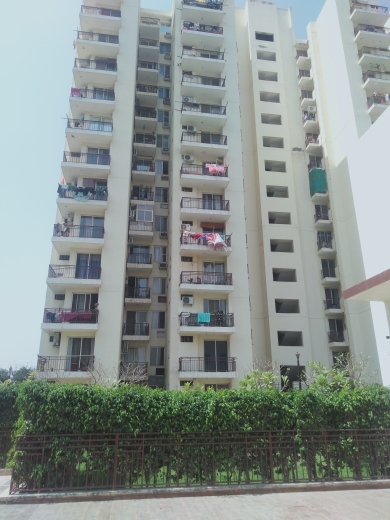 2 BHK Apartment For Resale in MGH Mulberry County Sector 70 Faridabad  6660915