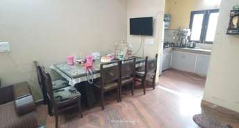 2 BHK Apartment For Rent in Vinayak Plaza Sector 15 Gurgaon 6661151
