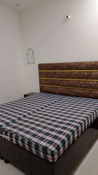 1 RK Apartment For Rent in Vip Road Zirakpur 6661194
