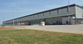 Commercial Warehouse 27000 Sq.Ft. For Rent In Sector 37d Gurgaon 6661348