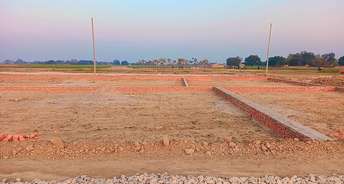  Plot For Resale in Malihabad Lucknow 6661169