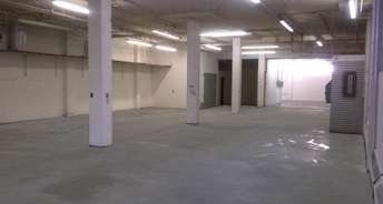 Commercial Warehouse 3800 Sq.Ft. For Rent In Basai Gurgaon 6661792