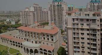 4 BHK Apartment For Resale in DLF The Wellington Estate Dlf Phase V Gurgaon  6661861