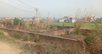 Commercial Land 100 Sq.Yd. For Resale In Central Derabassi Chandigarh 6661924