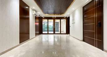 Commercial Showroom 5000 Sq.Ft. For Rent In New Colony Gurgaon 6661944