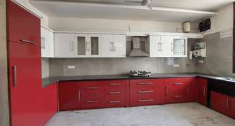 4 BHK Builder Floor For Rent in Sector 55 Gurgaon 6662306