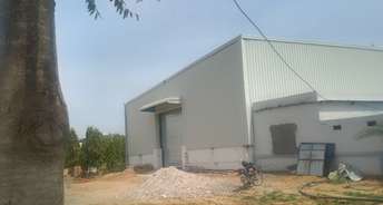 Commercial Warehouse 4200 Sq.Yd. For Rent In Narayan Vihar Jaipur 6662432