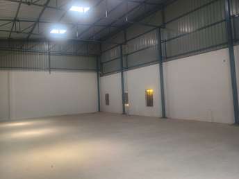 Commercial Warehouse 4500 Sq.Yd. For Rent In Gopalpura By Pass Jaipur 6662436