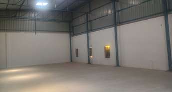Commercial Warehouse 4500 Sq.Yd. For Rent In Gopalpura By Pass Jaipur 6662436