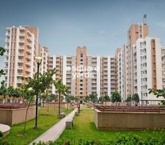 Studio Apartment For Resale in Puri Pratham Sector 84 Faridabad  6663193