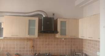 3 BHK Apartment For Rent in Mahagun Mywoods Noida Ext Sector 16c Greater Noida 6663262