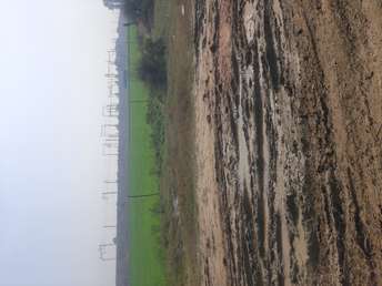 Commercial Industrial Plot 1 Acre For Rent In Basantpur Faridabad 6663303