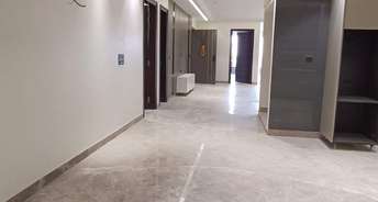 3 BHK Builder Floor For Rent in Shakti Nagar Delhi 6663575