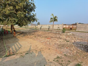 Plot For Resale in Naka Hindola Lucknow  6663810