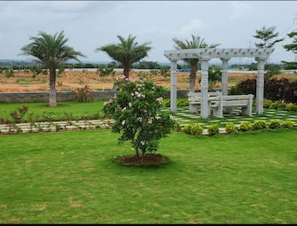 Plot For Resale in Harichandana Mayfair Villas Shadnagar Hyderabad  6664003