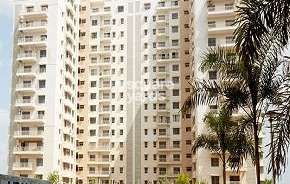 3.5 BHK Apartment For Rent in Adani Waterlily Near Vaishno Devi Circle On Sg Highway Ahmedabad 6664074