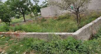  Plot For Resale in Sector 95 Faridabad 6664278