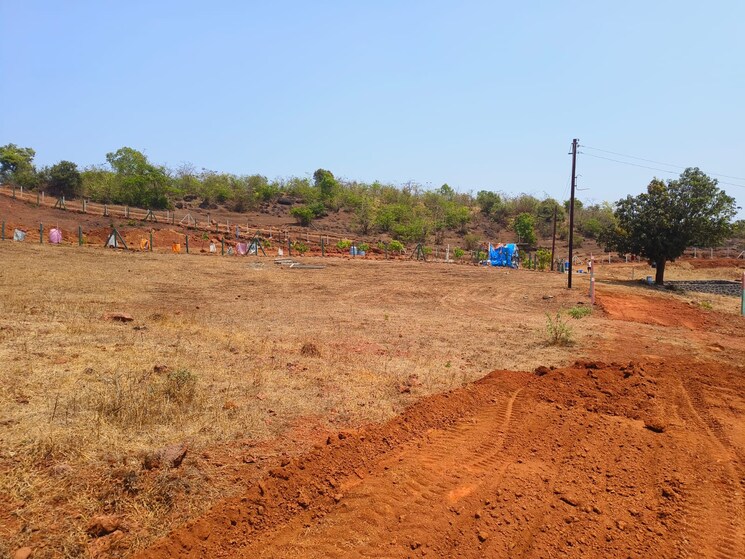 undefined, mangaon  10000 Sq.Ft. Plot In Mangaon Raigad 6664862