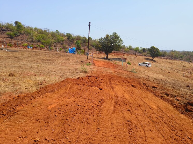 undefined, mangaon  10000 Sq.Ft. Plot In Mangaon Raigad 6664862