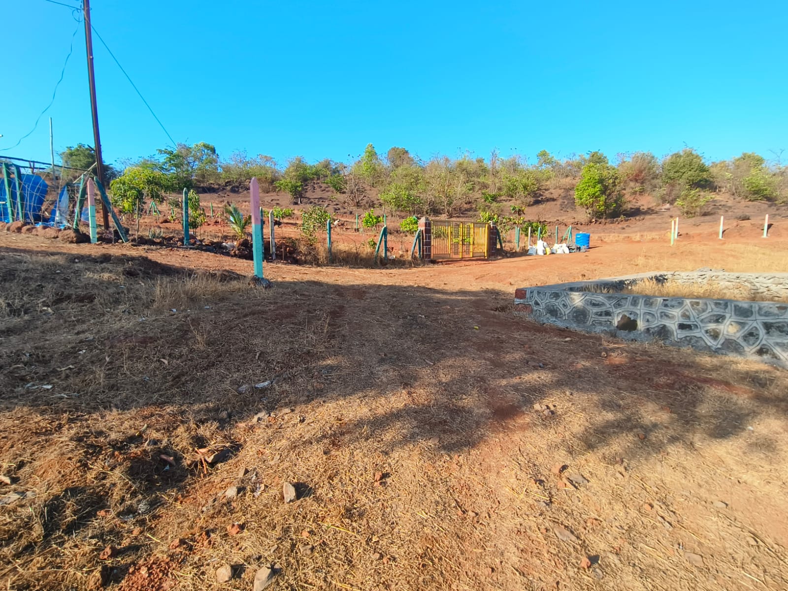  Plot For Resale in Mangaon Raigad 6664914