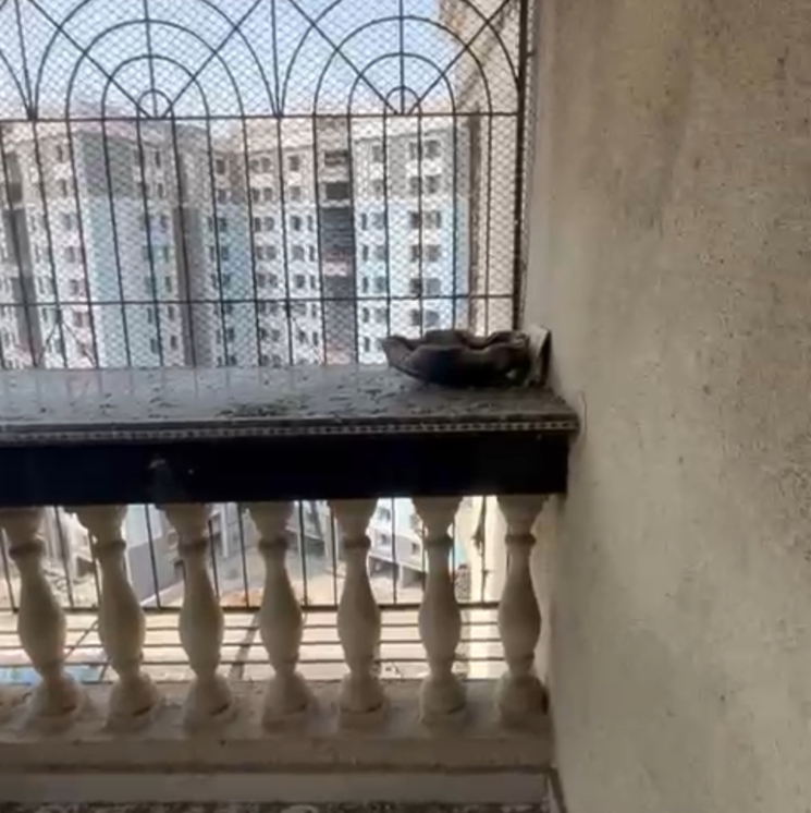 Exterior View, krishna-heights-ulwe 4 Bedroom 2200 Sq.Ft. Apartment In Ulwe Navi Mumbai 6665185