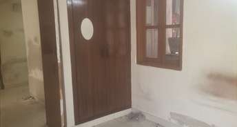 3 BHK Apartment For Rent in Ip Extension Delhi 6665311