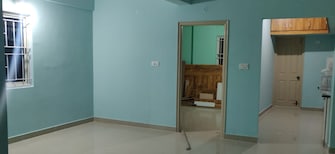 3 BHK Apartment For Resale in Sector 19 Faridabad  6665461