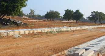  Plot For Resale in Chilkur Hyderabad 6665545