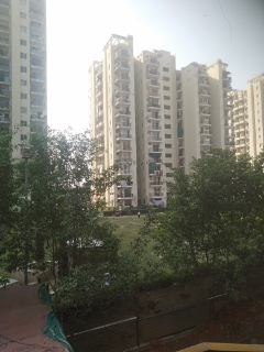 3 BHK Apartment For Resale in MGH Mulberry County Sector 70 Faridabad  6665868