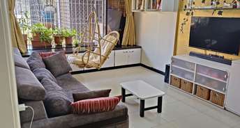 1 BHK Apartment For Rent in Bandra West Mumbai 6666489