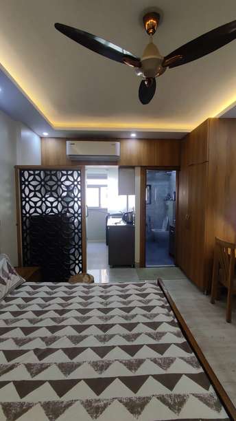 1 RK Apartment For Rent in DLF Capital Greens Phase I And II Moti Nagar Delhi  6666532