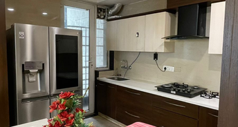 4 BHK Apartment For Rent in Parsvnath Planet Plaza Gomti Nagar Lucknow 6666656
