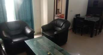 2 BHK Apartment For Rent in Today Ridge Residency Sector 135 Noida 6666730