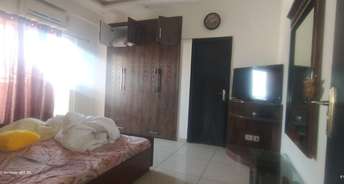 2 BHK Apartment For Rent in Gulshan Vivante Sector 137 Noida 6663056
