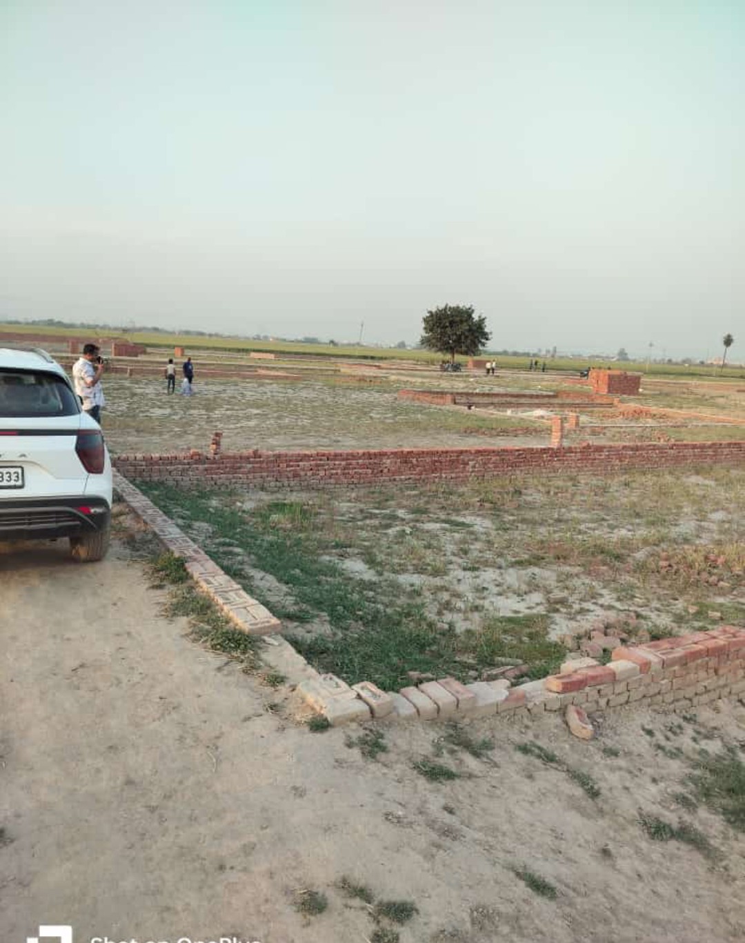 Plot For Resale in Sector 89 Faridabad  6667041