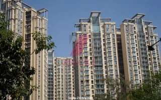 3 BHK Apartment For Rent in Sheth Vasant Lawns Majiwada Thane 6667050