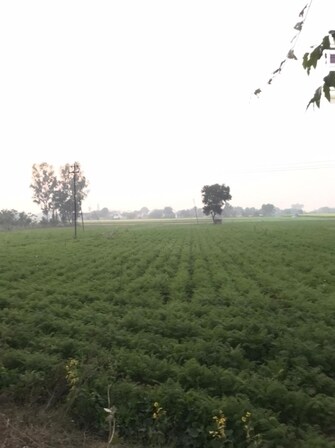 Commercial Land 10 Acre For Resale in Pataudi Road Gurgaon  6667346