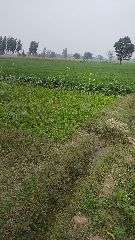Commercial Land 2 Acre For Resale In Ganaur Sonipat 6667511