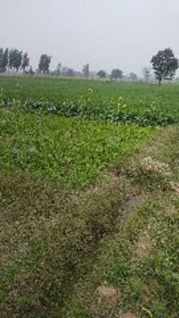 Commercial Land 2 Acre For Resale in Ganaur Sonipat  6667511