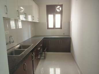 2 BHK Builder Floor For Rent in RWA Residential Society Sector 46 Sector 46 Gurgaon  6667930