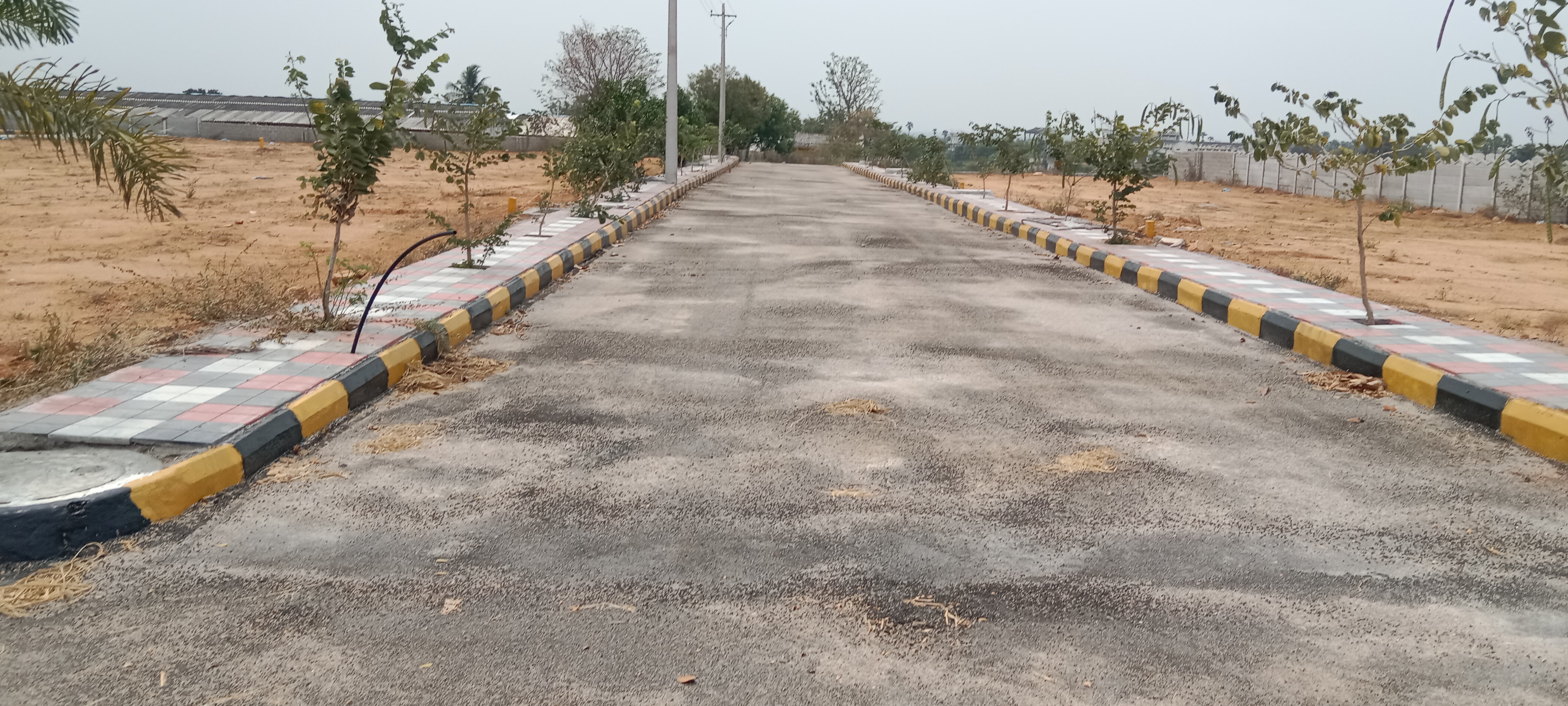 Plot For Resale in Rampally Hyderabad  6668296