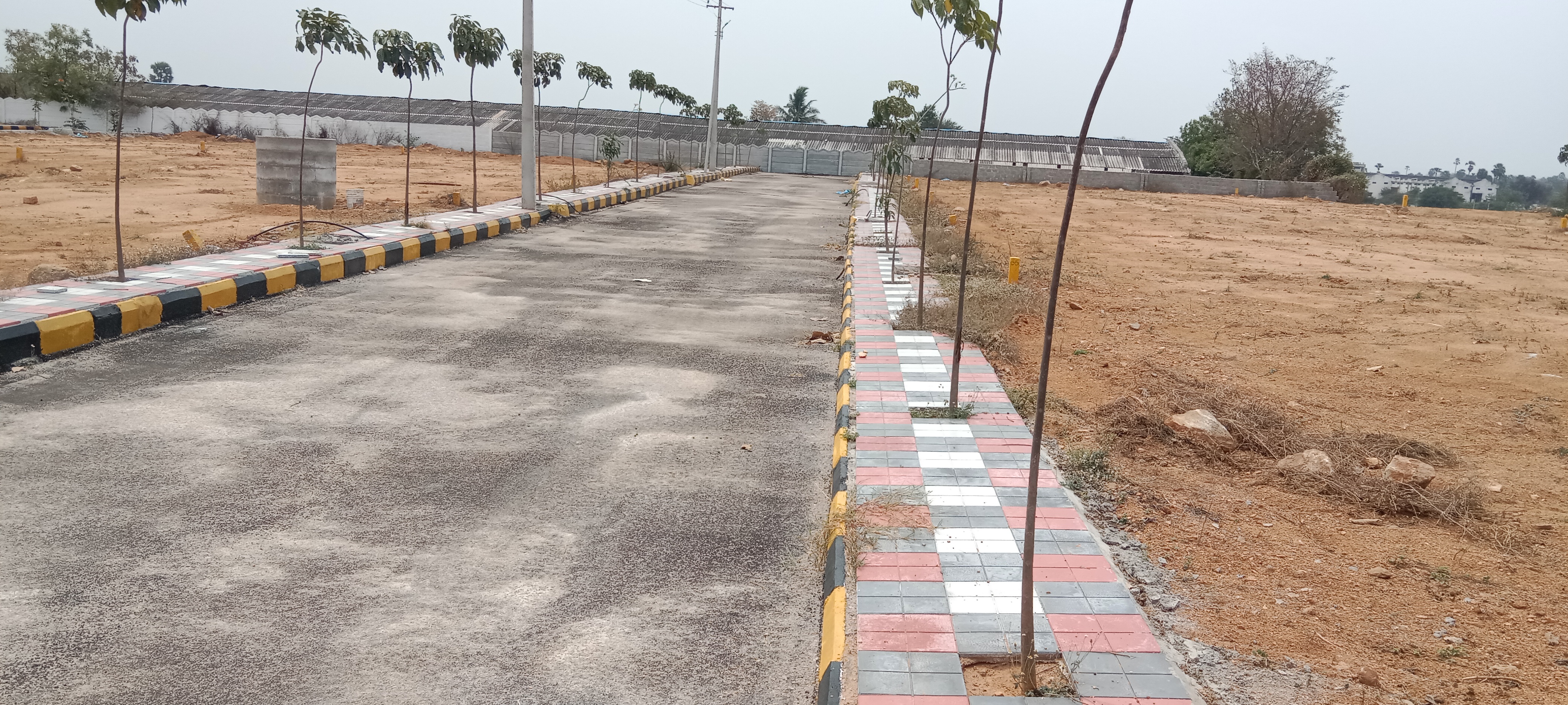 Plot For Resale in Chandrayangutta Hyderabad  6668391