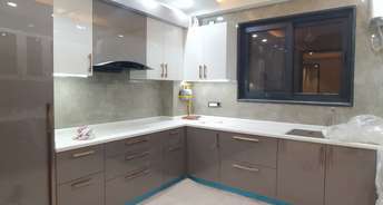 3.5 BHK Builder Floor For Rent in RWA Malviya Block B1 Malviya Nagar Delhi 6668491