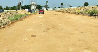  Plot For Resale in Gollor Hyderabad 6668487