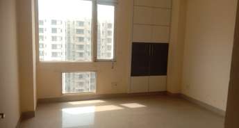 2 BHK Apartment For Rent in Today Ridge Residency Sector 135 Noida 6668672