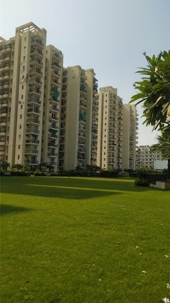 2 BHK Apartment For Resale in MGH Mulberry County Sector 70 Faridabad  6668919