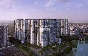 3 BHK Apartment For Rent in Aparna Sarovar Zenith Nallagandla Hyderabad 6669052