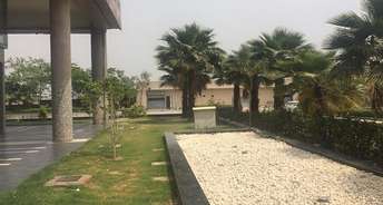 Commercial Shop 200 Sq.Ft. For Resale In Gn Knowledge Park 3 Greater Noida 6669155