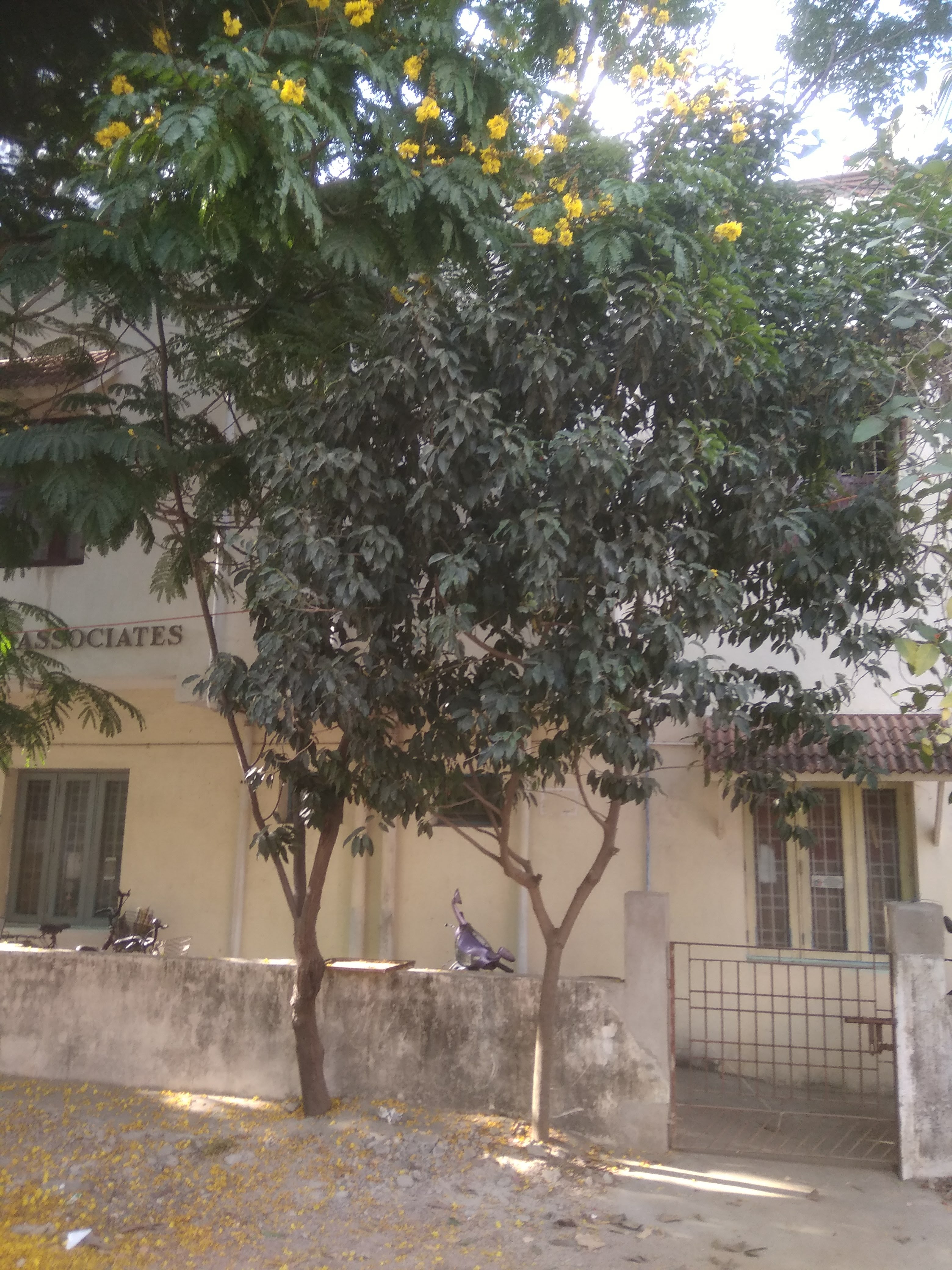 82+ Property for Sale Near The Westin Chennai Velachery, Velachery Chennai